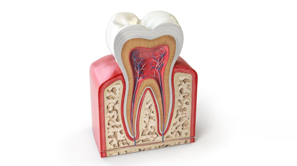 Everything you wanted to know about root canal treatment